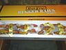 30-4136-1e Mth Rugged Rails Steam Locomotive And Prr Tender With Proto