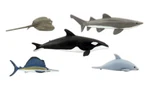 Woodland Scenics SP4447 Scene-a-rama Marine Life Figures (set Of 5). Fixed Price $10.23.