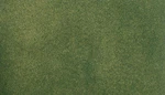 Woodland Scenics 50 X 100 Green Grass Mat RG5122. Fixed Price $35.99.