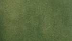 Woodland Scenics New 2026 Green Grass Large Roll 50 In X 100 RG5122. Fixed Price $40.04.