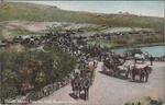 Duluth Tally Party Boulevard Drive Minnesota Mn 1908 Horse Carriages Postcard. Fixed Price $14.95.