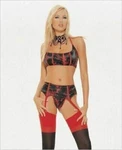 3 Pc Satin Brocade Halter Bra Top, Garter Belt & G-string Oriental Lingerie Set. Fixed Price $17.71.