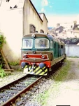 Roco - 345.1088 Dig. Cod. 51 Used For Diorama Photo. Fixed Price $170.91.