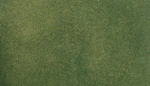 Woodland Scenics Green Readygrass Vinyl Mat 50 X 100IN RG5122. Fixed Price $41.98.